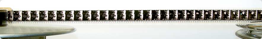 Bild Referenzliste: Internationale K&uuml;nstler, Museen, Galerien, Institutionen, Ausstellungen, Veranstaltungen, Festivals